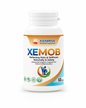 XEMOB Tablets | Relieving Pain & Stiffness Naturally & Safely | XENRISE Pharma, Pakistan