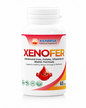 XENOFER Tablets | Advanced Iron, Folate, Vitamins & Biotin Formula | XENRISE Pharma, Pakistan